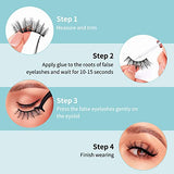 DYSILK False Eyelashes -10 Pairs 6D 19mm Faux Lashes Pack - Eyelashes Natural Look Reusable Cat Eye Lashes Mink Fake Eyelashes Wispy Fluffy Lashes Soft Extension