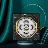 DYSILK Eyelashes Natural Look - 7 Pairs 6D Mink Lashes - False Eyelashes Fluffy Cat Eye Wispy Fake Lashes Soft Reusable 007