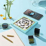 DYSILK Cat Eye Lashes -10 Pairs 6D 14.5mm Faux Lashes Pack - Fluffy Lashes Wispy Mink Natural Look Fake Lashes Reusable False Eyelashes