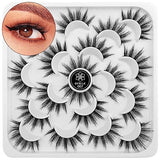 DYSILK Fake Eyelashes -10 Pairs 6D 17mm Faux Lashes Pack - Lashes Natural Look Reusable Mink False Eyelashes Wispy Fluffy Cat Eye Lashes